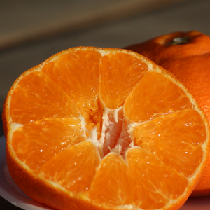 柑橘ジュース